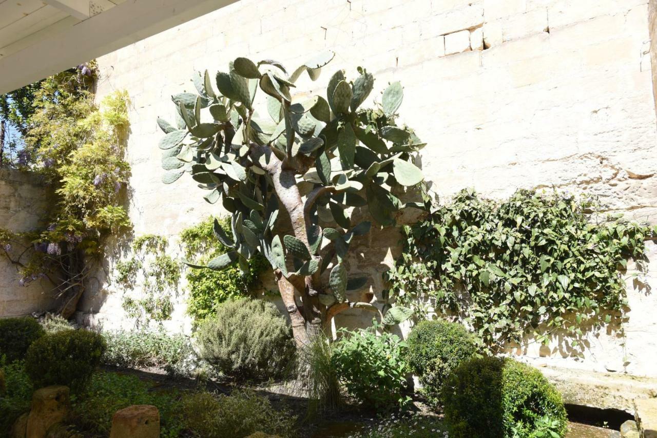 Il Giardino Di Benedetta *